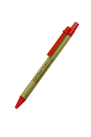 CW746 - Eco Friendly Fashionable Ballpoint Pen