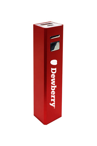 CW810 - Portable Power Bank Charger